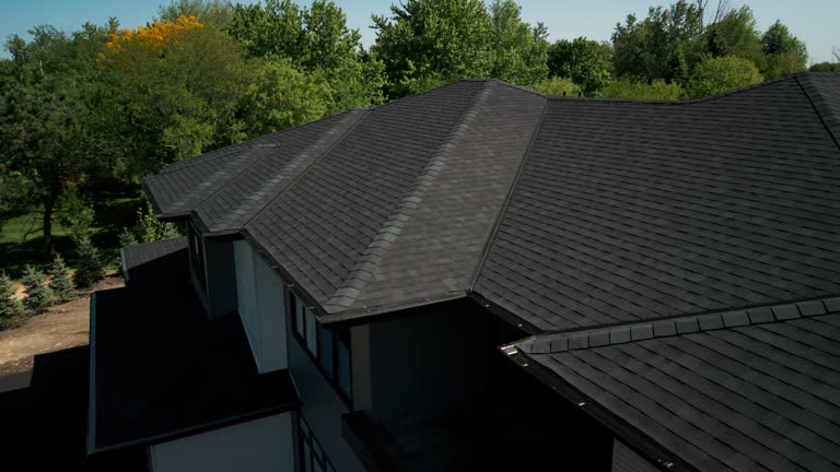 Best Skylight Installation and Repair  in Pleasant View, TN