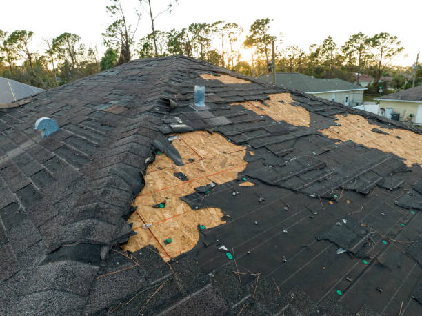 Professional Roofing Service in Pleasant View, TN