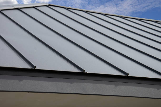 Best Roof Ventilation Installation  in Pleasant View, TN