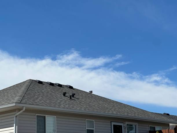 Best Flat Roofing  in Pleasant View, TN