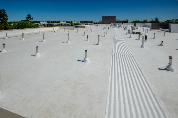 Best Steel Roofing  in Pleasant View, TN